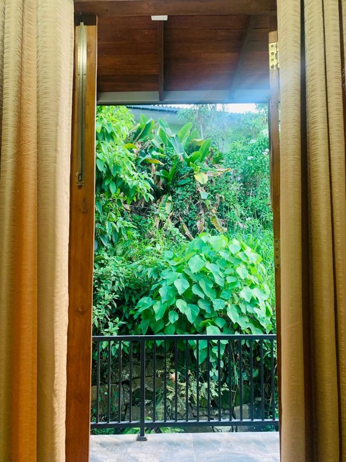 גאלה Jungle City Hostel מראה חיצוני תמונה