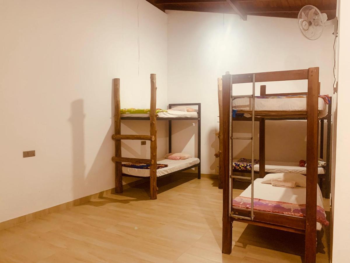 גאלה Jungle City Hostel מראה חיצוני תמונה