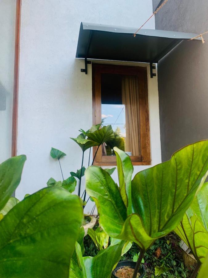 גאלה Jungle City Hostel מראה חיצוני תמונה