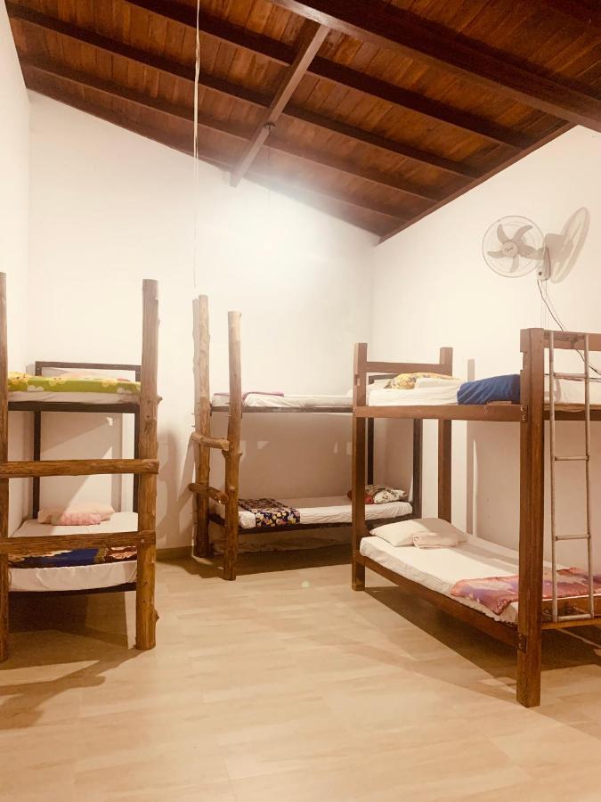גאלה Jungle City Hostel מראה חיצוני תמונה