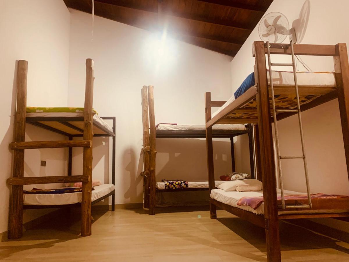 גאלה Jungle City Hostel מראה חיצוני תמונה